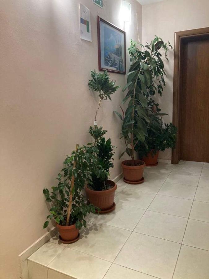 Family Hotel Neptun - 洛泽内茨 外观 照片
